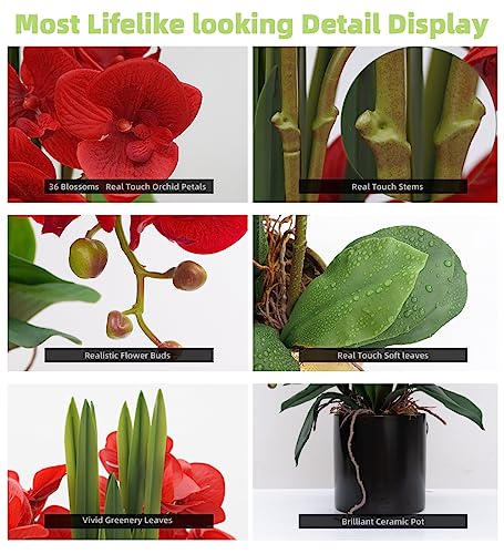 CXGS Artificial Orchid Flower Plants Real Touch Faux Orchids in Ceramic Vase 20.9'' Red Phalaenopsis Orchid Fake Flower Arrangement Home Indoor Decor - color: Red- Black (12cm)