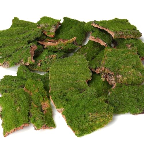 Assorted Artificial Moss Bark, Decorative Mossy Tree Bark for DIY Crafts, Fairy Gardens, Terrariums, Floral Arrangements (Realistic Green - 100gr)