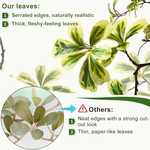 Bailikang 7FT Artificial Black Olive Tree Artificial Olive Plants, Tall Faux Olive Tree Faux Silk Plant Fake Plant Ultra-Realistic Silk Leaves & Natural Trunk Indoor Outdoor Use - color: White Olive Tree, size: 7ft