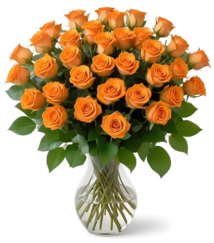 25 Orange Roses | Arabella Bouquets | Real Fresh Flowers for Delivery, Gift for Birthday Women, Congratulations, Anniversary, Thank You, Mother's Day - color: Orange, size: 25 Stems