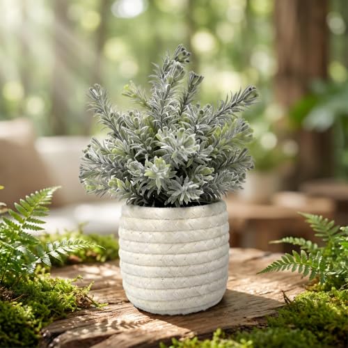 Hopewood Small Artificial Plants Eucalyptus with a Weave Basket Potted Plants for Home Office Desk Farmhouse Indoor Decor - color: Green Plant Style B