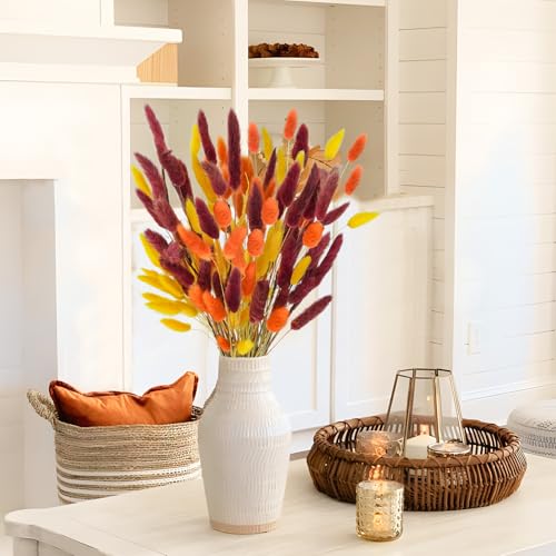 Uieke 240 Pcs Bunny Tails Dried Flowers, 17'' Natural Dried Pampas Grass Decor, Yellow Burnt Orange Burgundy Reed Grass Bouquet for Boho Wedding Home Party Fall Decorations - color: Yellow Burnt Orange-240pcs