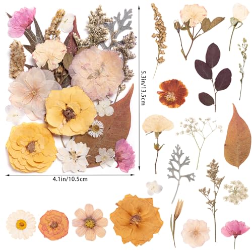 90pcs Boho Pressed Flowers Bulk, Vintage Dried Flower Leaves, Natural Fall Pressed Dried Flowers with Tweezer for DIY Crafts Resin Mold Candles Cake Bridal Scrapbooking Supplies - size: Boho