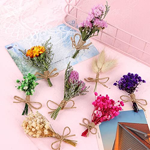 WWahuayuan 8 Pcs Mini Gypsophila Daisy Dried Flowers Bouquets for DIY Craft, Home & Wedding Decor - color: Type2