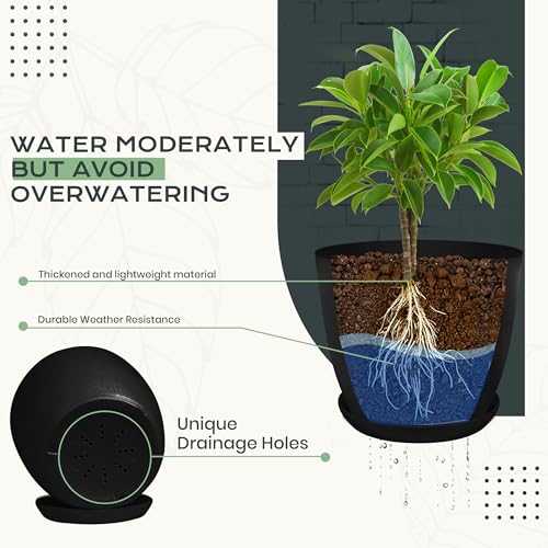 Utopia Home - Plant Pots Indoor with Drainage - 7/6.6/6/5.3/4.8 Inches Home Decor Flower Pots - Pack of 10 Plastic Planters for Indoor Plants, Cactus, Succulents Pot - Black - color: Black, size: Pack of 10