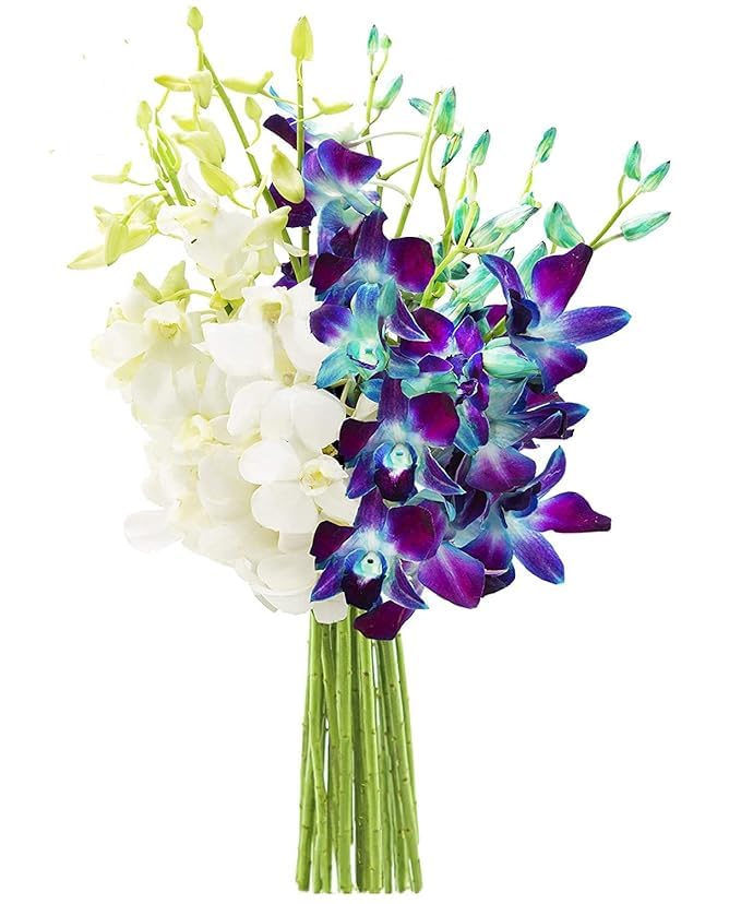 KaBloom-10 Blue&White Orchid Bouquet,Flowers for Valentine, Mother's Day - color: Ocean Blue and Pure White, size: 10 count, style: Without Vase