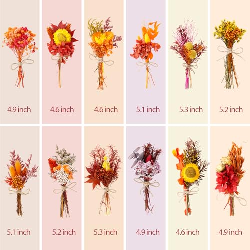 10/12/24 Pack Dried Flowers for Vase Various Mini Bouquet Dried Small Wildflowers Natural Real Flowers Bulk for Crafts DIY Wedding Decor (12, Autumn Color) - size: Autumn Color