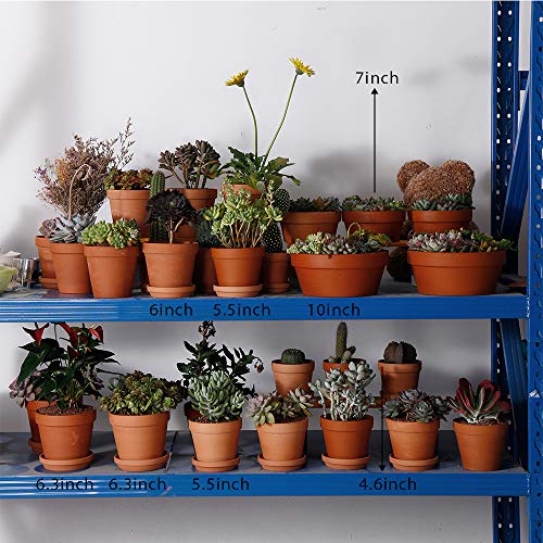 Terra Cotta Pots with Saucer- 6-Pack Large Clay Pots 5.5'' Ceramic Pottery Planter Cactus Flower Succulent Pot with Drainage Hole- Great for Plants,Crafts terra cotta planter - color: Terracotta