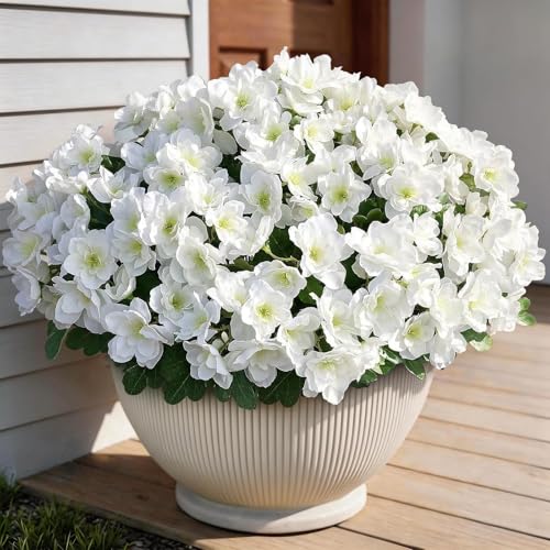 16 Bundles Artificial Flowers for Front Door, Fake Silk Azalea Bouquet Silk Flowers for Outside UV Resistant Realistic Faux Plants for Planter Farmhouse Patio Garden Walkways Home Decor (White) - color: White
