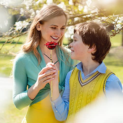 Anniversary Birthday Gifts for Women Forever Gold Dipped Rose Christmas Women Gifts 24k Gold Plated Eternal Flower Love Romantic Rose Gifts Box for Anniversary Valentines Day,Mothers Day,Birthday(red) - color: Red
