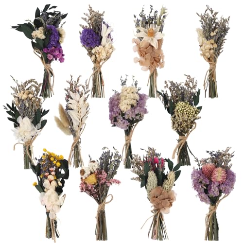 12 Pcs Mini Dried Boho Flower Bouquets - Bohemian Wedding Boutonniere Decors, Rustic Floral Arrangements, Small Natural Dried Flowers for Crafts, Vases, Handcrafted with Jute Twine