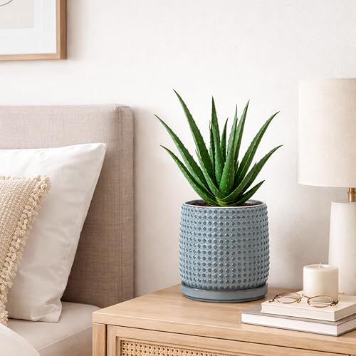 D'vine Dev 6 Inch Ceramic Beaded Stoneware Planter Pot - Flower Pot with Drainage Holes and Saucers for Indoor Succulent Plants or Flowers, Graphite Blue, 27-C-X-9 - color: Graphite Blue, size: 5.8 Inch