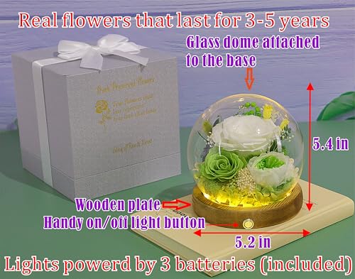 Valley of Rain & Forest Long-Lasting Real Flowers, Unique Floral Gift For you to send Love for All Occasions, for Indoor Decoration (White & Green Roses Arrangement) - color: White Rose, Green Rose