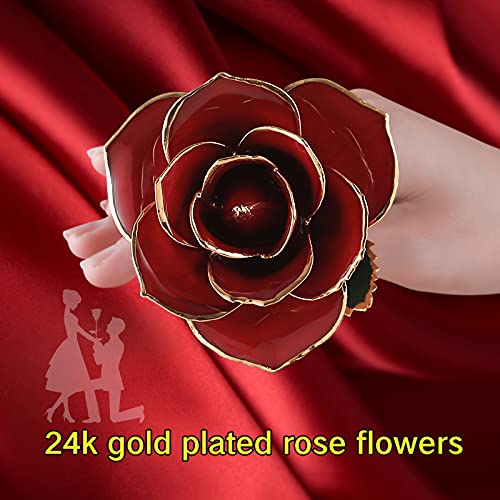 Anniversary Birthday Gifts for Women Forever Gold Dipped Rose Christmas Women Gifts 24k Gold Plated Eternal Flower Love Romantic Rose Gifts Box for Anniversary Valentines Day,Mothers Day,Birthday(red) - color: Red