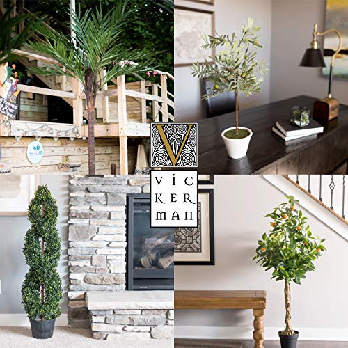Vickerman 6' Artificial Potted Cedar Tree - Decorative Tree - Home or Office Decor - Realistic Faux Cedar Tree - Artificial Greenery for Indoors - Stunning Accent - Beautiful Addition