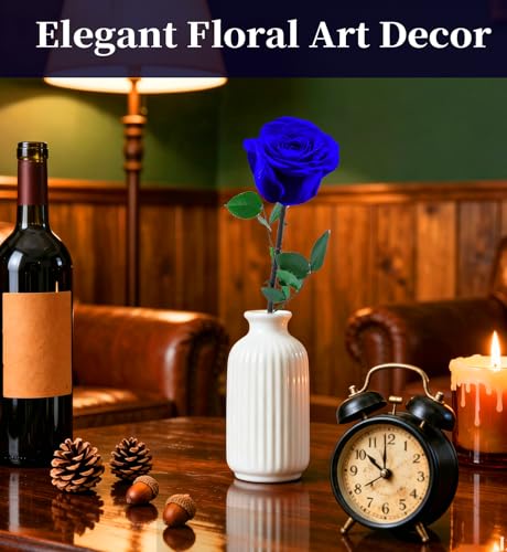 Preserved Flowers for Delivery,Blue Rose Bouquets That Last 5 Years,Birthday Flowers Gifts for Women Mom Grandma Wife Friends,Mothers Day Roses Gift,Romantic Floral for Anniversary or Valentine’s Day - color: Blue, size: Single Rose