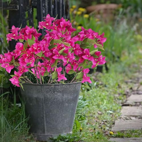 CITYES 2 Pcs Artificial Flowers Bougainvillea Outdoor Faux Bougainvillea Flowers with Stems Artificial Bougainvilleas Silk Flowers Branches for Garden Wedding Centerpieces Table Runner Decor - color: Rose Red 2