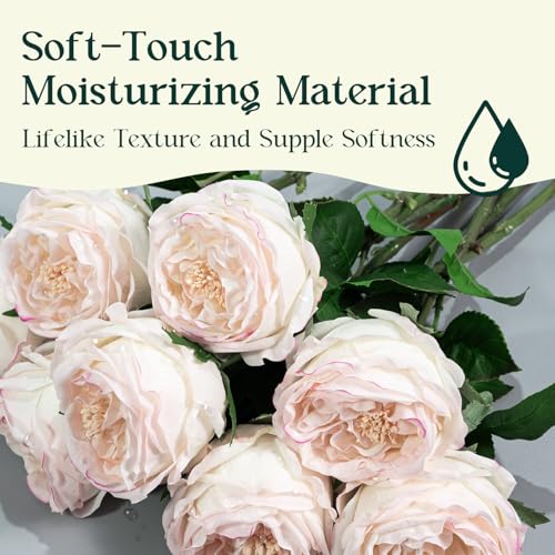 4 Pcs Real Touch Peonies Artificial Flowers, 3.5'' Big Bloom Austin Rose Peony Latex Fake Flower with Stems for Wedding Bouquet Party Valentines Arrangement Home Kitchen (Edge Pink) - color: Edge Pink