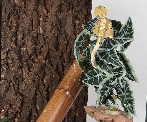 Reptile Plants for Terrarium, Amphibian Habitat Decor Artificial Hanging Plants with Suction Cup - Fake Alocasia Black Velvet - color: Fake Alocasia Black Velvet
