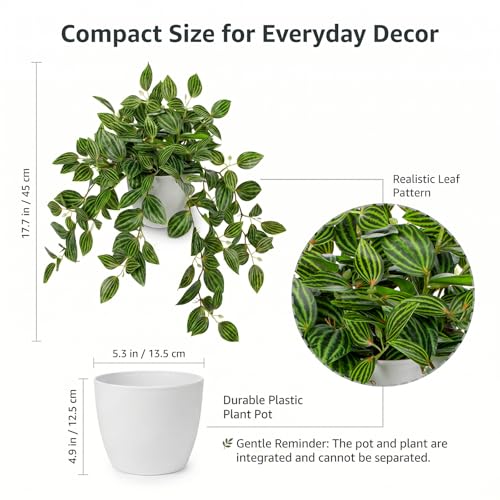 Briful Artificial Potted Plant Indoor, 17.7" Faux Watermelon Peperomia Trailing Plant in White Plastic Pot Realistic Fake Cascading Greenery for Shelf Bathroom Office Desk Tabletop Home Decor - color: Watermelon Green