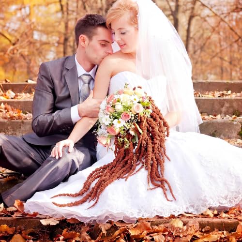 Suncalla 12 Pcs Brown Spring Natural Dried Amaranthus Hanging Flowers Amaranthus Artificial Flowers for Wedding Arch Bouquet Floral Garland Wall Home Decoration (23 Inch) - color: Brown