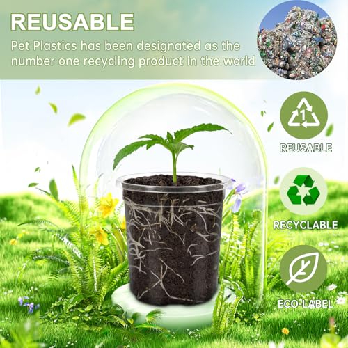 30 Packs 3.5 Inch Reinforced Clear Nursery Pots for Plants with Drainage Holes, High Transparency Planting Plastic Seedling Pots, Seedling Planter Seed Starter with 20 Plant Labels - size: 3.5 inch 30p
