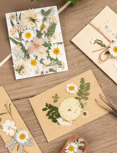 100pcs White and Light Yellow Dried Pressed Flowers Bulk, Natural Fall Pressed Dried Flowers with Tweezer for DIY Crafts Resin Mold Candles Cake Bridal Scrapbooking Supplies - size: White Flower