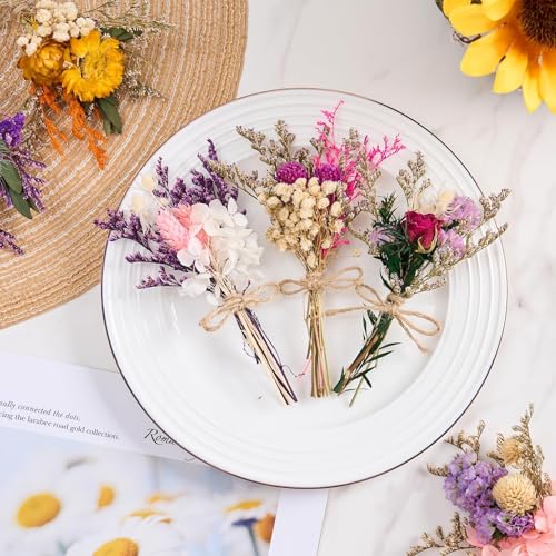 12/24 PCS Charming Dried Flowers Bouquet for Vase Various Dried Wildflowers with Stems Mini Handmade Wildflowers Natural Real Flowers Bulk Flowers Craft (Blossoms, 12 PCS) - color: Blossoms