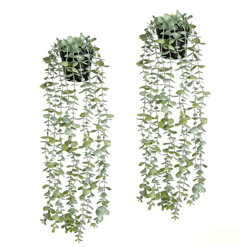 echosari 2 PCS Fake Hanging Plants, Artificial Potted Plants Eucalyptus, Greenery Faux Plants Indoor for Modern Boho Home Bedroom Wall Book Shelf Decor - size: 2 PCS