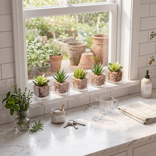 Briful Set of 4 Succulents Plants Artificial in Clear Glass Pots Small Fake Succulents Plants Mini Faux Plants Indoor for Window Sill Office Table Desk Shelf Bathroom Decor - color: Succulents #03