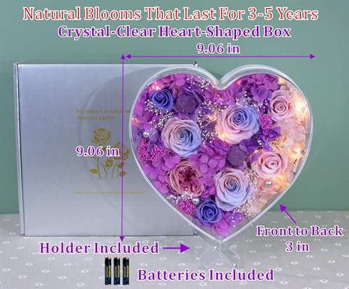 Valley of Rain & Forest Long-Lasting Real Flowers With Delivery | "Sweet" Preserved Floral Gift With Lights For You to Send Love, Romantic Home Decor (Forever Purple & Pink Roses Arrangement) - color: Purple & Pink Roses