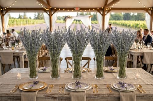 Dried Lavender 3 Bunches 100% Fresh Natural Purple Bouquet Flowers for Bathroom Photo Props Crafts Decoration, 15-17" for Shower Weeding Vase Decor, Aromatherapy Home Fragrance(300-330 Stems Total) - size: 3 Bunches Lavender