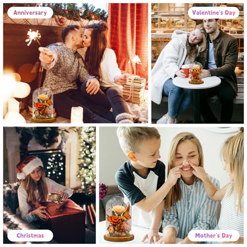 Forever Gifts for Her: Big Flower Big Love-Graduation Flowers for Daughter Wife Mom-Eternal Flower with Butterfly-Flowers for Delivery Prime on Anniversary Valentines Birthday (Orange) - color: Orange1