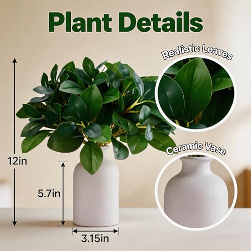 12 Inch Artificial Plant Indoor,Small Fake Plants Eucalyptus Stems With Vase,Faux Greenery In Pot For Farmhouse Home Decor,Bathroom Living Room Kitchen Office Coffee Table Centerpiece (White) - color: White