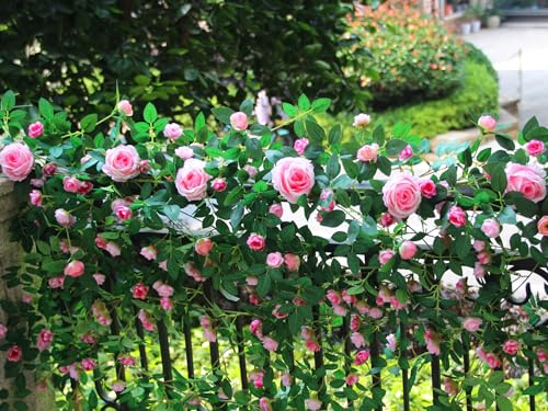 2 PCS 12FT Bendable Flower Garland, Artificial Rose Vine Hanging Floral Garland Decoration for Weding Home Room Wall Decor (Pink) - color: Pink, size: 2pcs