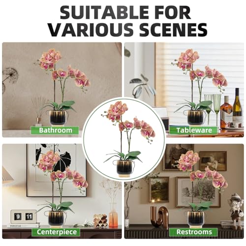 CXGS Orchids Artificial Flowers Real Touch Fake Flowers in Ceramic Pot 20" Purple Dapple Faux Orchid Plant Lifelike Silk Phalaenopsis for Centerpiece Hotel Home Indoor Decor - color: Purple Dapple- Black Gold Vase