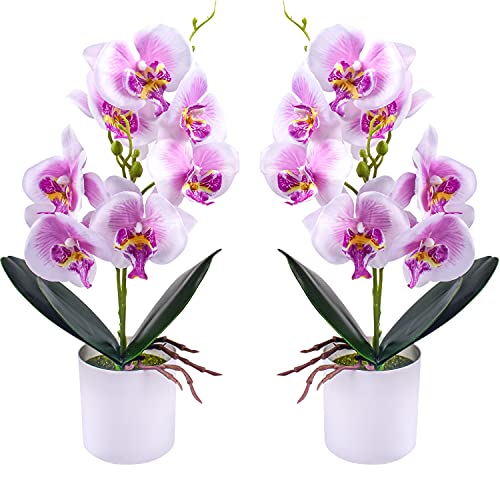 XONOR Artificial Orchid Flowers, 2 Pieces Potted Orchid Flowers with Plastic Vase for Table Centerpiece Home Decor Office Wedding Party Decoration - color: Purple