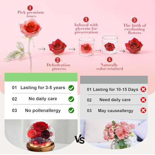 Preserved Flower Red Rose in Glass, Eternal Roses Gifts for Women, Mom, Girlfriend, Wife, Her on Christmas, Valentine's Day, Mother's Day, Birthday, Anniversary