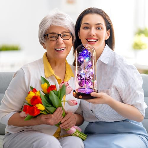 Mothers Day Rose Gifts for Mom Birthday Gift for Women, Rechargeable Galaxy Glass Rose in Glass Dome Crystal Roses Butterfly Mother's Day Flowers Gifts for Women Mom Wife Grandma Daughter, Purple - color: USB-B Purple