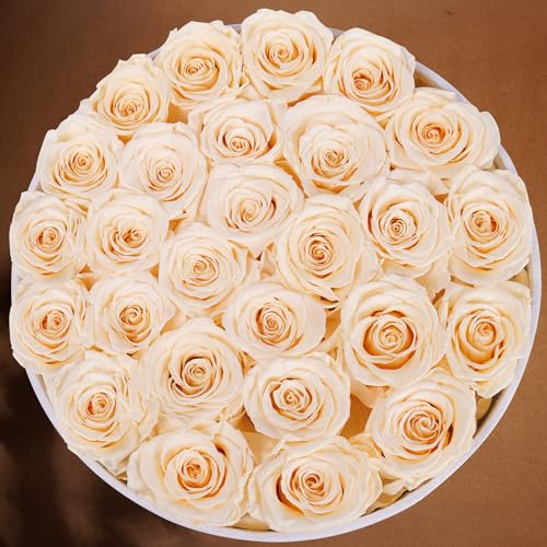 Prifroti 27 Flowers in a Luxury Suede Box, Birthday Gifts for Women, Preserved Flowers, Mothers Day Roses Gift for Mom, Champagne - color: Champagne, size: 27 Roses