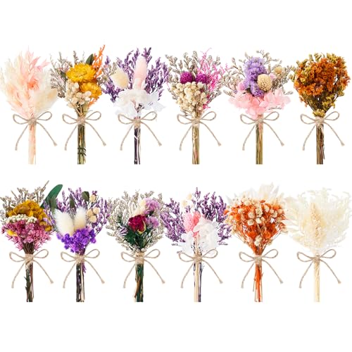 12/24 PCS Charming Dried Flowers Bouquet for Vase Various Dried Wildflowers with Stems Mini Handmade Wildflowers Natural Real Flowers Bulk Flowers Craft (Blossoms, 12 PCS) - color: Blossoms