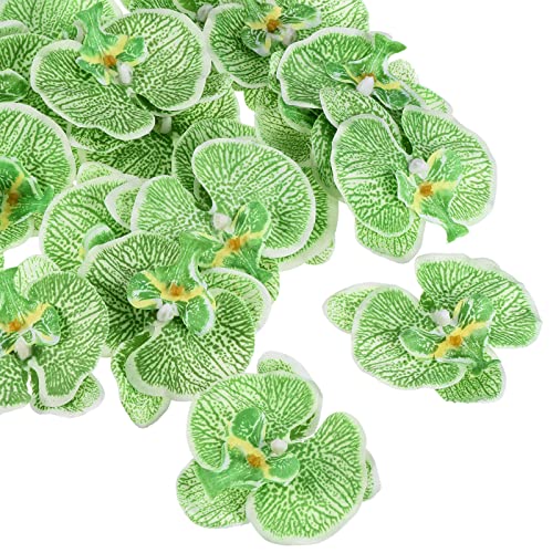 PATIKIL 9cm/3.5" Artificial Orchid Flower Heads, 20 Pack Silk Phalaenopsis Fake Butterfly Orchid Heads for Wedding Floral Bouquet Decor DIY Craft Making, Green - color: Green, size: 3.5"