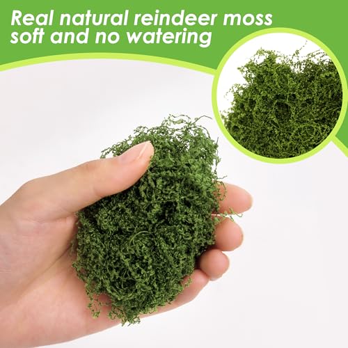 6 Colors Artificial Moss for Crafts, 21.16oz Moss for Plants Indoor, Fake Green Moss Decor for Fairy Garden, Model Making, DIY Decorative, Table Centerpieces, Walls, Home, Wedding Party