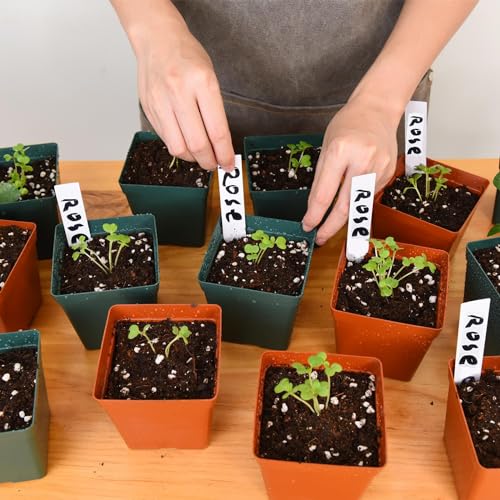 June Fox 100 Pack Green Red Square Nursery Pots with Drainage Holes 3.3 Inches Flexible Plastic Seedling Pots Square Pots for Plants, Succulent, Flower, with Plant Labels - color: Green and Red