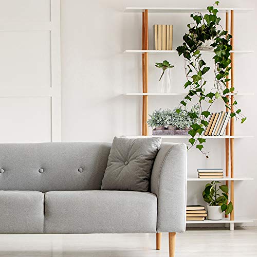 Winlyn 3 Pack Potted Plants Artificial Eucalyptus Boxwood Fern Greenery in Pots with Wood Planter Box for Farmhouse Cabinets Bath Table Bathrooms Mantle
