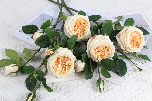 Real Touch Austin Roses Peonies Artificial Flowers 4 Bouquets Latex Fake Peonies with Long Stem Realistic Faux Peonies Flower for Wedding Party Home Table Centerpieces Decorations (Champagne) - color: Champagne