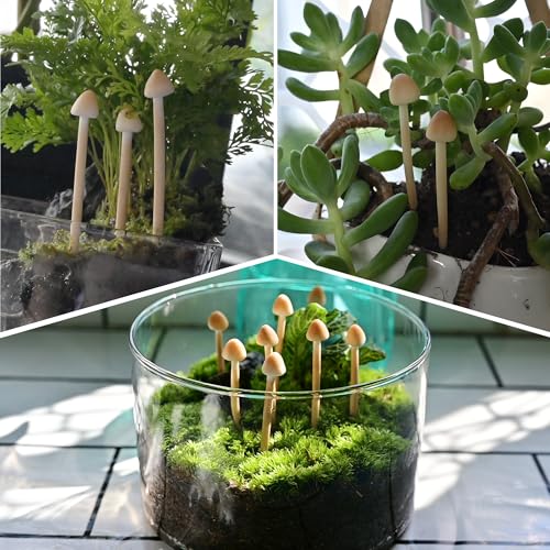 8-Pack Handmade Clay Mushrooms - Mini Fake Mushrooms for DIY Miniature Landscapes & Fairy Gardens - Desktop Ornaments & Christmas Decorations.