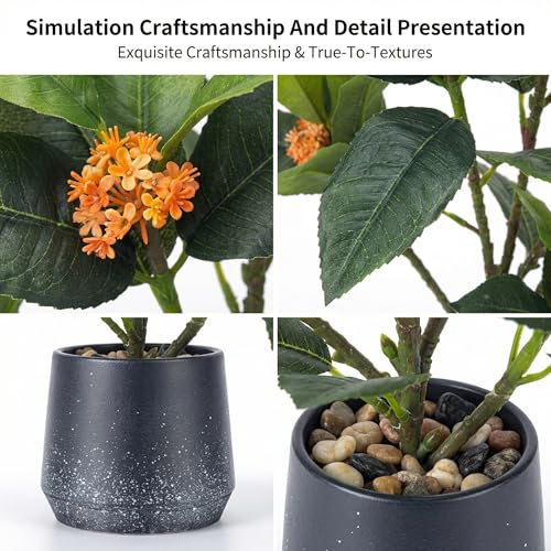 Gresorth 2 Pack Artificial Fake Green Potted Table Small Plants Decoration Simulation Osmanthus Tree Ornament Bonsai Display for Desk Decor Indoor Wedding Windows - color: B - 2 Sizes
