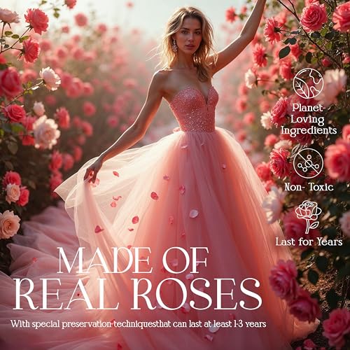 GLAMOUR BOUTIQUE Preserved Roses in a Box - Gifts for Her, Wife & Mom, Rose Flowers Forever Decor for Birthday Gift, Get Well Flower Bouquet Cased in White Box with Cover - Pink - 27 (Color-Treated) - color: Pink, size: 27 Roses Heart Box