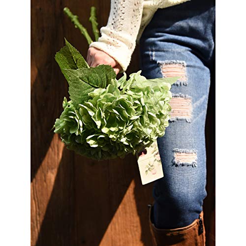 FiveSeasonStuff Real Touch Silk Hydrangea Flowers, 2 Large Long Stem Artificial Flowers for Floral Arrangements (Paris Green) - color: Paris Green (2 Stems)